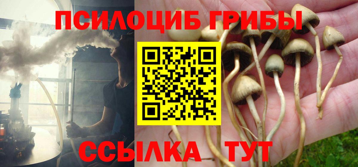 Галлюциногенные грибы Magic Shrooms Ликино-Дулёво
