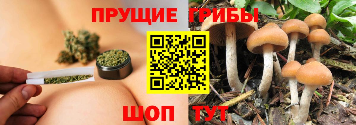 Ликино-Дулёво  Псилоцибиновые грибы мухоморы  Вход с VPN 